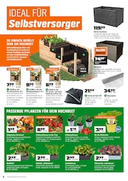 OBI Kohl im Prospekt OBI Kohl im Prospekt