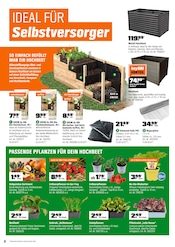 PVC im OBI Prospekt in Herten Aktueller OBI Prospekt mit PVC, "FÜRS PFLANZEN GEMACHT.", Seite 8