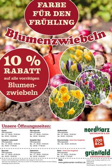 Pflanzen im aktuellen Garten-Center Nordharz GmbH & Co. KG Prospekt (Braunschweig) Pflanzen im Garten-Center Nordharz GmbH & Co. KG Prospekt "Der Herbst sooo schön" mit 18 Seiten (Braunschweig)