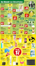 Kühl-Gefrierkombi Angebot im aktuellen Thomas Philipps Prospekt auf Seite 10