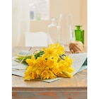 Bouquet de 10 jonquilles Carlton - FLEUR - Carrefour à Toulouse Bouquet de 10 jonquilles Carlton - FLEUR en promo chez Carrefour Toulouse à 3,99 €