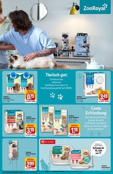 Katzenfutter im aktuellen REWE Prospekt (Frankfurt (Main)) Katzenfutter im REWE Prospekt "Dein Markt" mit 30 Seiten (Frankfurt (Main))