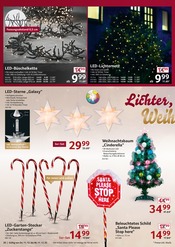 Aktueller Selgros Prospekt mit Christbaum, "cash & carry", Seite 20