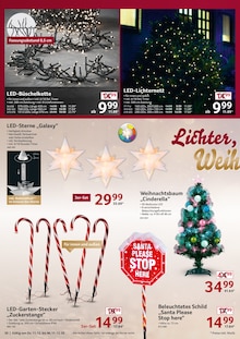 Weihnachtsbaum im aktuellen Selgros Prospekt (Bornheim) Weihnachtsbaum im Selgros Prospekt "cash & carry" mit 32 Seiten (Bornheim)