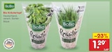Bio Kräutertopf bei Netto Marken-Discount im Prospekt "" für 1,29 €