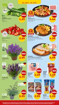 Erdbeeren im Penny Prospekt "Wer günstig will, muss Penny." mit 39 Seiten (Stuttgart)