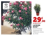 Laurier Rose - Super U à Orléans Laurier Rose en promo chez Super U Orléans à 29,90 €