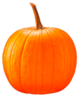 Halloween-Kürbis Angebote bei ALDI SÜD Mannheim