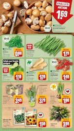 Bratpfanne im REWE Prospekt in Gütersloh Aktueller REWE Prospekt mit Bratpfanne, "Dein Markt", Seite 9