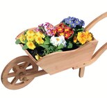 Holz-Pflanzschubkarre im Angebot bei Wreesmann in Dessau-Roßlau Holz-Pflanzschubkarre Angebote bei Wreesmann Dessau-Roßlau für 24,99 €