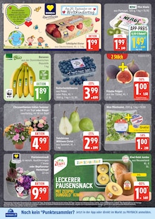 EDEKA Lüblow Prospekt der aktuellen Woche, gültig von 08.09.2025 bis 13.09.2025 Aktueller EDEKA Lüblow Prospekt "Top Angebote" mit 13 Seiten