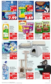 Aktueller Kaufland Prospekt mit Kratzbaum, "Aktuelle Angebote", Seite 31
