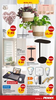 Blumentopf im Penny Prospekt "Wer günstig will, muss Penny." mit 46 Seiten (Bielefeld)