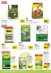 Saatgut im Hagebaumarkt Prospekt in Oberhausen Aktueller Hagebaumarkt Prospekt mit Saatgut, "VERSCHÖNERE MIT UNS DEINEN GARTEN", Seite 8