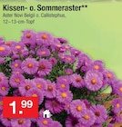 Aktuelle Kissen Angebote bei Zimmermann in Mainz Aktuelles Kissen- o. Sommeraster Angebot bei Zimmermann in Mainz ab 1,99 €