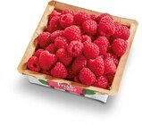Himbeeren im Netto Marken-Discount Prospekt Himbeeren von Driscoll's im aktuellen Netto Marken-Discount Prospekt für 2,19 €