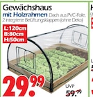 Gewächshaus mit Holzrahmen Angebote bei Wreesmann Dresden für 29,99 €