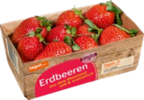 tegut Themar - Deutsche Erdbeeren Angebot im Prospekt Deutsche Erdbeeren bei tegut im Themar Prospekt für 3,99 €