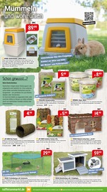 Aktueller Raiffeisenmarkt Prospekt mit Hase, "Wir leben Nähe", Seite 6