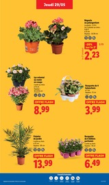 Parfum Angebote im Prospekt "Coup d'envoi sur les promos !" von Lidl Parfum Angebote im Prospekt "Coup d'envoi sur les promos !" von Lidl auf Seite 33
