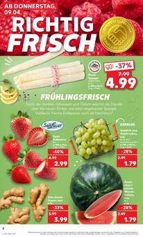 Erdbeeren im aktuellen Kaufland Prospekt (Potsdam) Erdbeeren im Kaufland Prospekt "KNÜLLER" mit 70 Seiten (Potsdam)