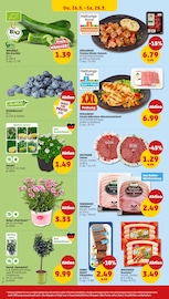 Aktueller Penny Prospekt mit Pflanzen, "Wer günstig will, muss Penny.", Seite 32