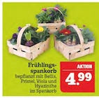 Aktuelles Frühlingsspankorb Angebot bei Marktkauf in Leipzig ab 4,99 €