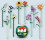 Capsule max premium en promo chez Hyper U Saintes à 7,99 €