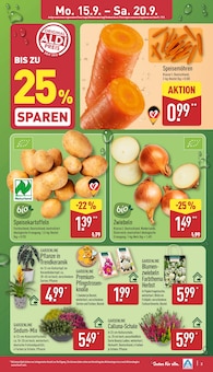 Gemüse im ALDI Nord Prospekt "Aktuelle Angebote" mit 43 Seiten (Magdeburg)