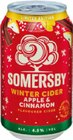 Sparkling Cider Apple oder Winter Cider Apple & Cinnamon im Angebot bei Netto Marken-Discount in Neu-Ulm Sparkling Cider Apple oder Winter Cider Apple & Cinnamon Angebote von Somersby bei Netto Marken-Discount Neu-Ulm für 1,29 €