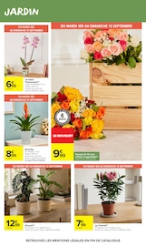 Promos Jardinage dans le catalogue "Carrefour market" de Carrefour Market Jardinage en promo dans le catalogue Carrefour Market à la page 58