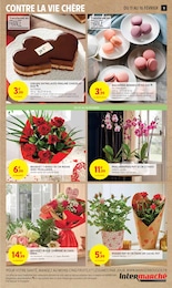 Offre Plante D'intérieur dans le catalogue Intermarché du moment à la page 11