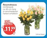 Rosenstrauss im V-Markt Prospekt Rosenstrauss von im aktuellen V-Markt Prospekt für 11,99 €