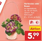 Netto Marken-Discount Mügeln - Hortensien oder Rosen Angebot im Prospekt Hortensien oder Rosen bei Netto Marken-Discount im Mügeln Prospekt für 5,99 €