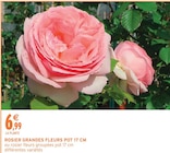 Intermarché Super Lusignan - Promo Rosier Grandes Fleurs Pot 17 cm Promo Rosier Grandes Fleurs Pot 17 cm à 6,99 € dans le catalogue Intermarché Super à Lusignan