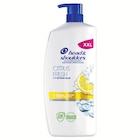 Citrus Fresh Anti-Schuppen Shampoo XXL Angebote von Head & Shoulders bei Lidl Dessau-Roßlau für 9,99 €