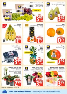 Marktkauf Prospekt der aktuellen Woche, gĂŒltig von 19.10.2026 bis 24.10.2026 Aktueller Marktkauf Prospekt "Top Angebote" mit 32 Seiten