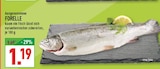 Forelle Angebote bei Marktkauf Haltern am See für 1,19 €