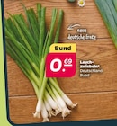 Lauchzwiebeln bei Netto mit dem Scottie im Hasloh Prospekt für 0,69 €