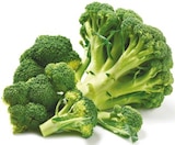 Broccoli von GO Regio im aktuellen Netto mit dem Scottie Prospekt