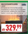 WASSERDAMPFKAMIN ODENA Angebote von HOME DELUXE bei Marktkauf Ibbenbüren für 329,99 €
