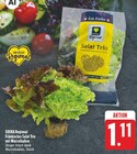 Aktuelle Salat Angebote bei EDEKA in Nürnberg Aktuelles Fränkisches Salat Trio mit Wurzelballen Angebot bei EDEKA in Nürnberg ab 1,11 €