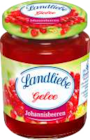 Konfitüre im aktuellen Prospekt bei EDEKA in Lindenberg