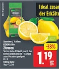Zitronen von EDEKA Bio im aktuellen E center Prospekt