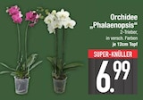 E center Augsburg Prospekt mit  im Angebot für 6,99 €