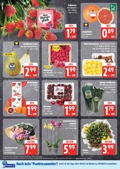 Garten im E center Prospekt in Elmshorn Aktueller E center Prospekt mit Garten, "Top Angebote", Seite 8