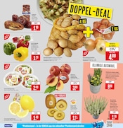 Aktueller Marktkauf Prospekt mit Pflanzen, "Aktuelle Angebote", Seite 9
