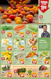 Zimmerpflanzen Angebot im aktuellen REWE Prospekt auf Seite 9