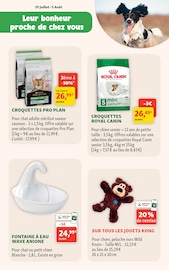 Croquettes Chien en promo dans le catalogue Maxi Zoo à la page 2