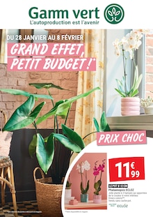 Catalogue Gamm vert de la semaine 5, "GRAND EFFET, PETIT BUDGET !", page 1, 28/01/2026 - 08/02/2026 Prospectus Gamm vert en cours, "GRAND EFFET, PETIT BUDGET !", page 1 sur 4